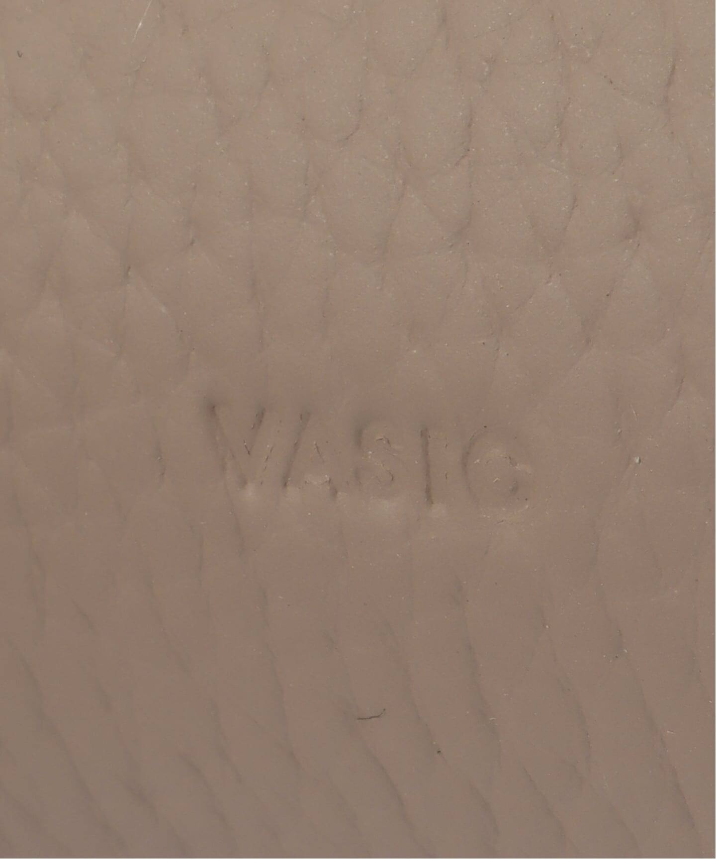 一部店舗+WEB限定》VASIC / ヴァジック Ever Mini Mini（ショルダー 