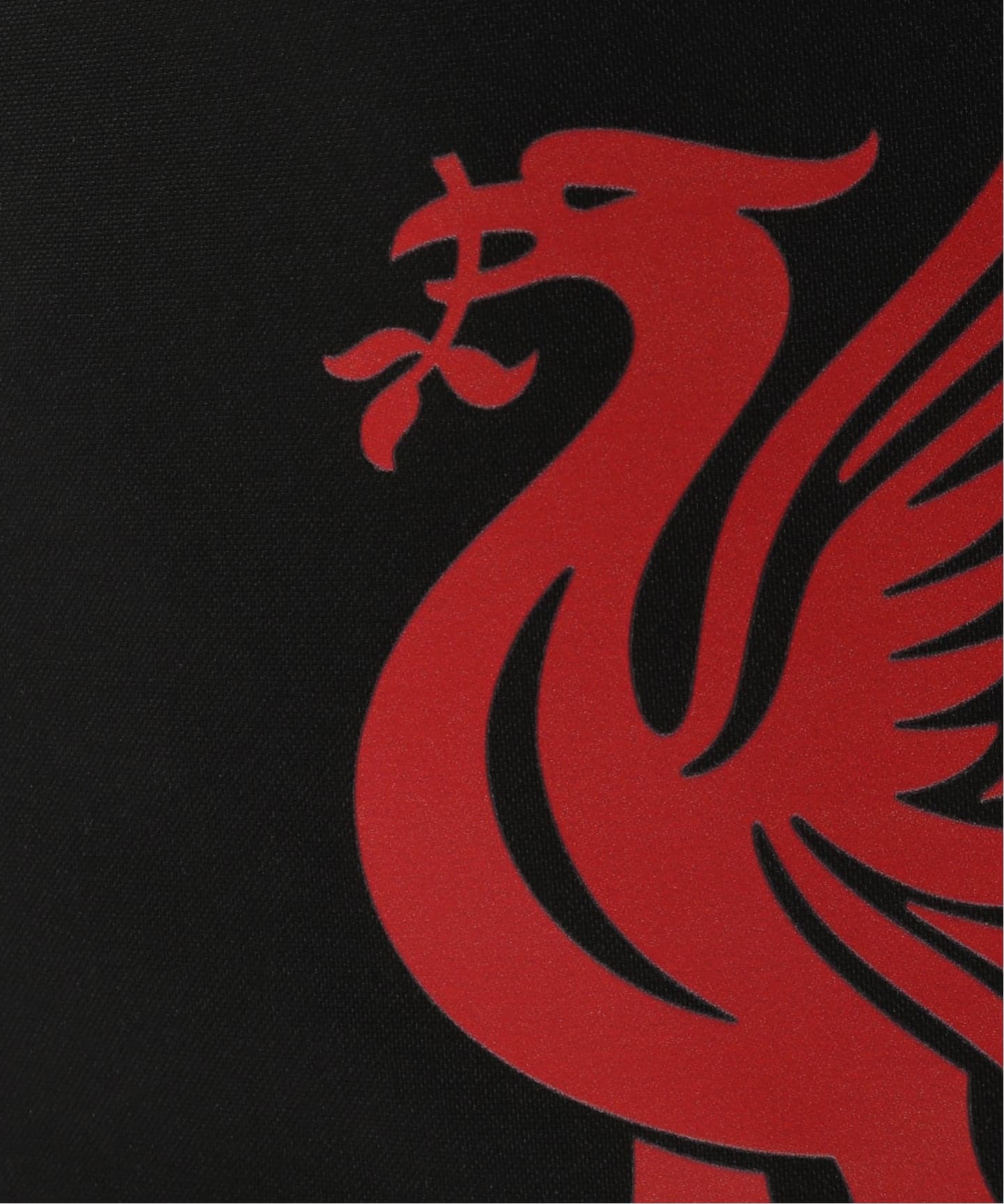 Liverpool FC / リバプール FC】 NAPSAC / ナップサックバッグ（バック
