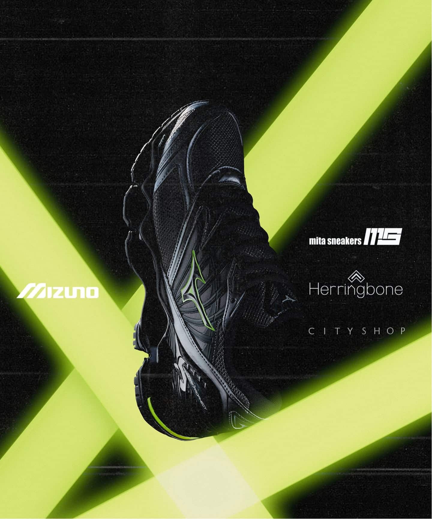 日本国内限定カラー】MIZUNO WAVE PROPHECY LS D1GA3337-09
