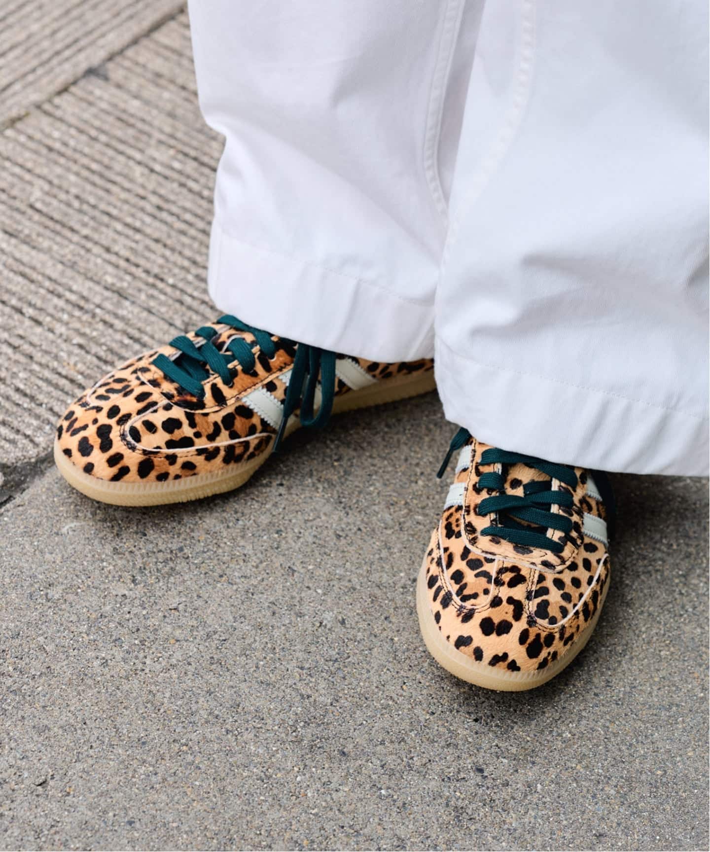 ADIDAS/ アディダス SAMBA OG W レオパード（スニーカー）｜FRAMeWORK