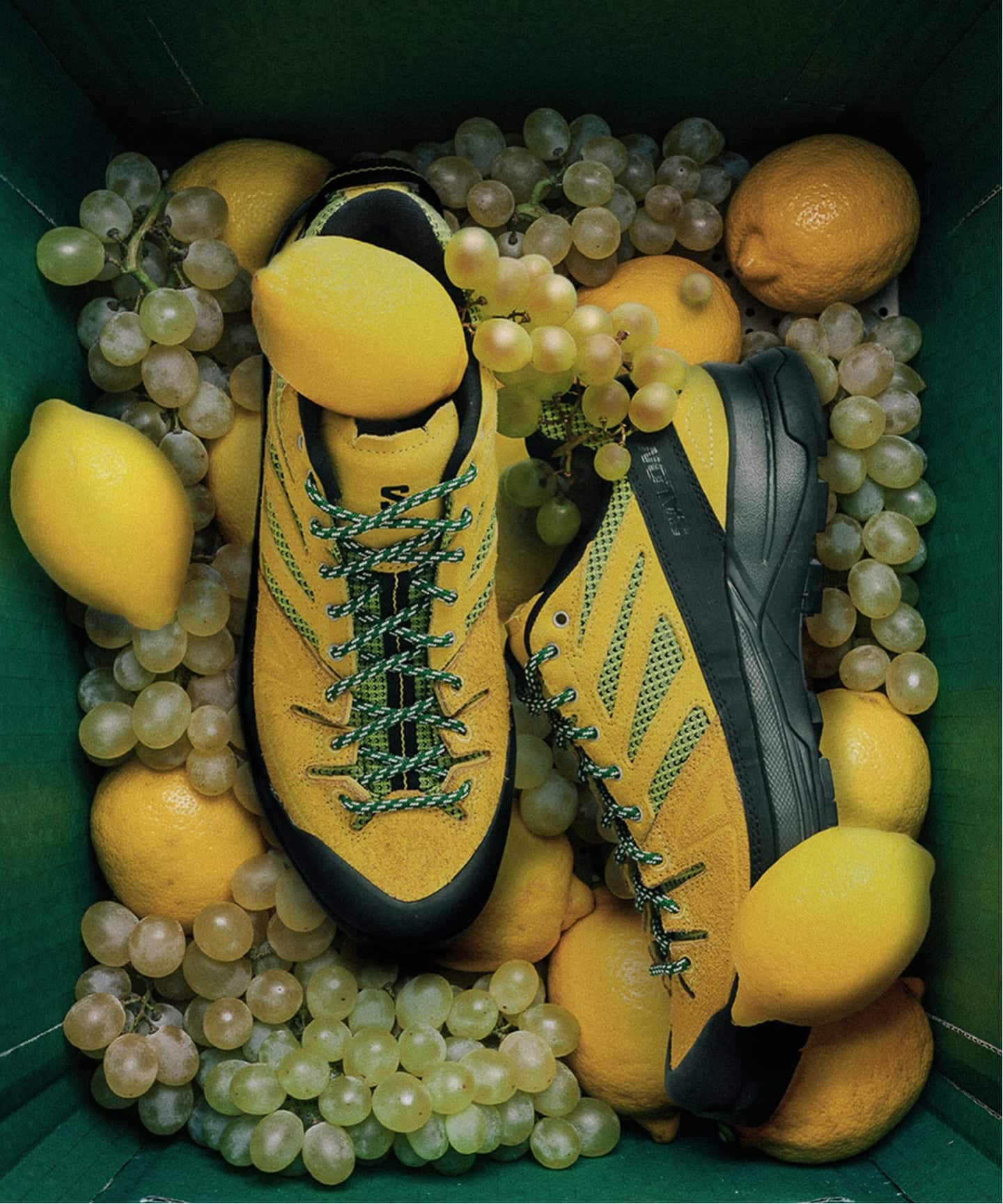 販路限定【SALOMON / サロモン】exclusive X-ALP WOVEN（スニーカー