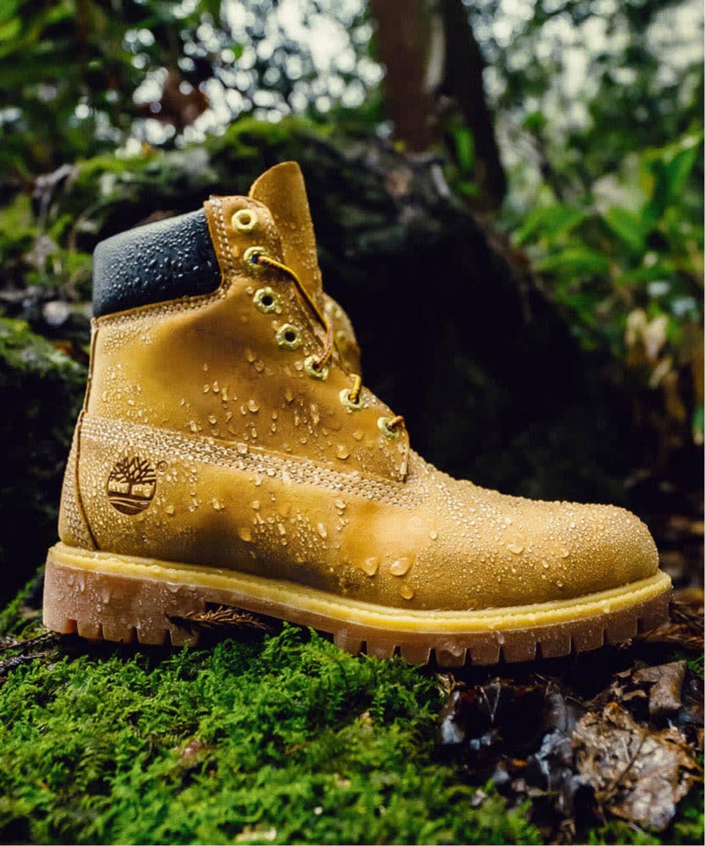 Timberland / ティンバーランド 6in Premium Boots WP（ブーティ 