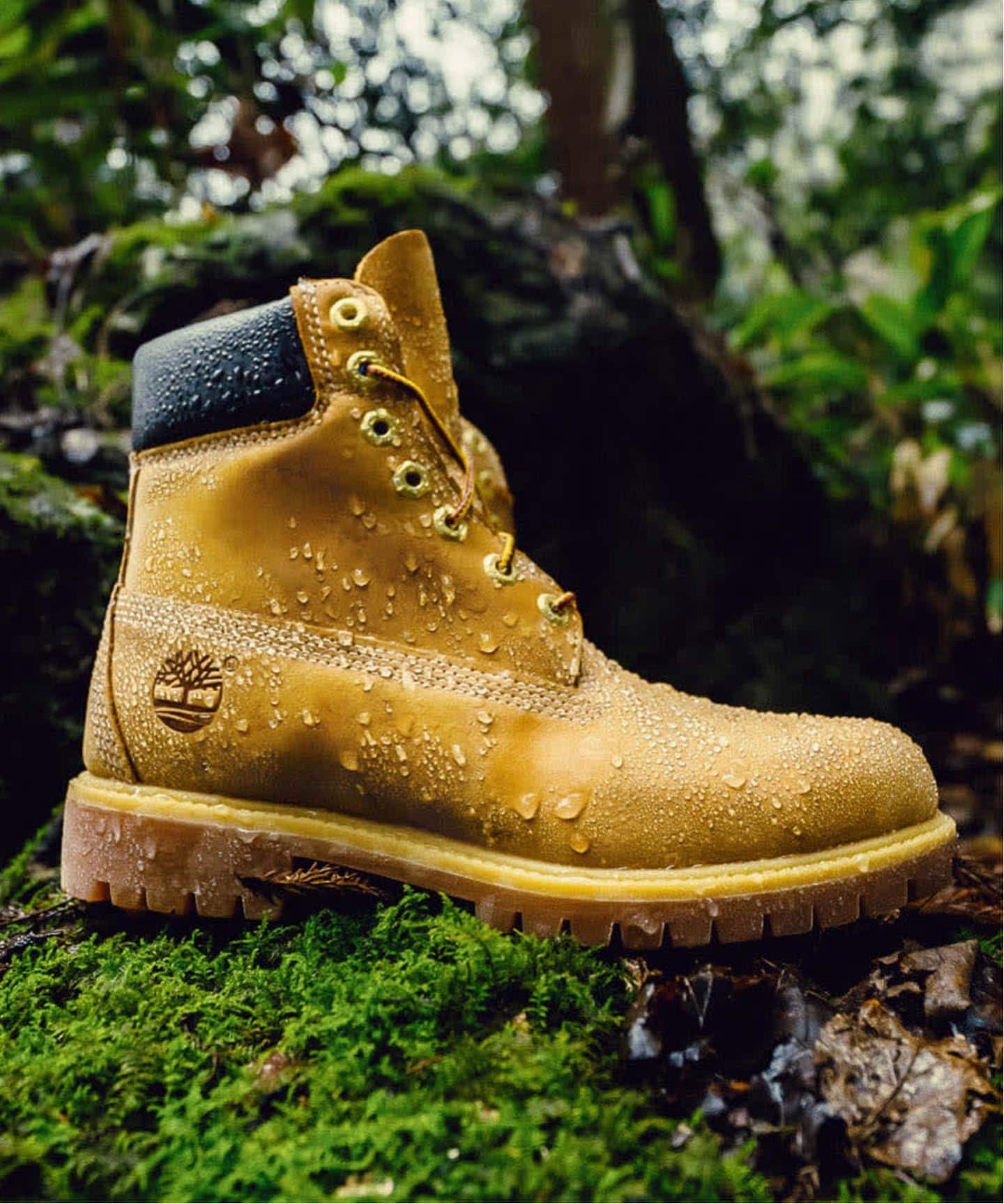 Timberland/ティンバーランド 6inch Premium Boots Water Proof