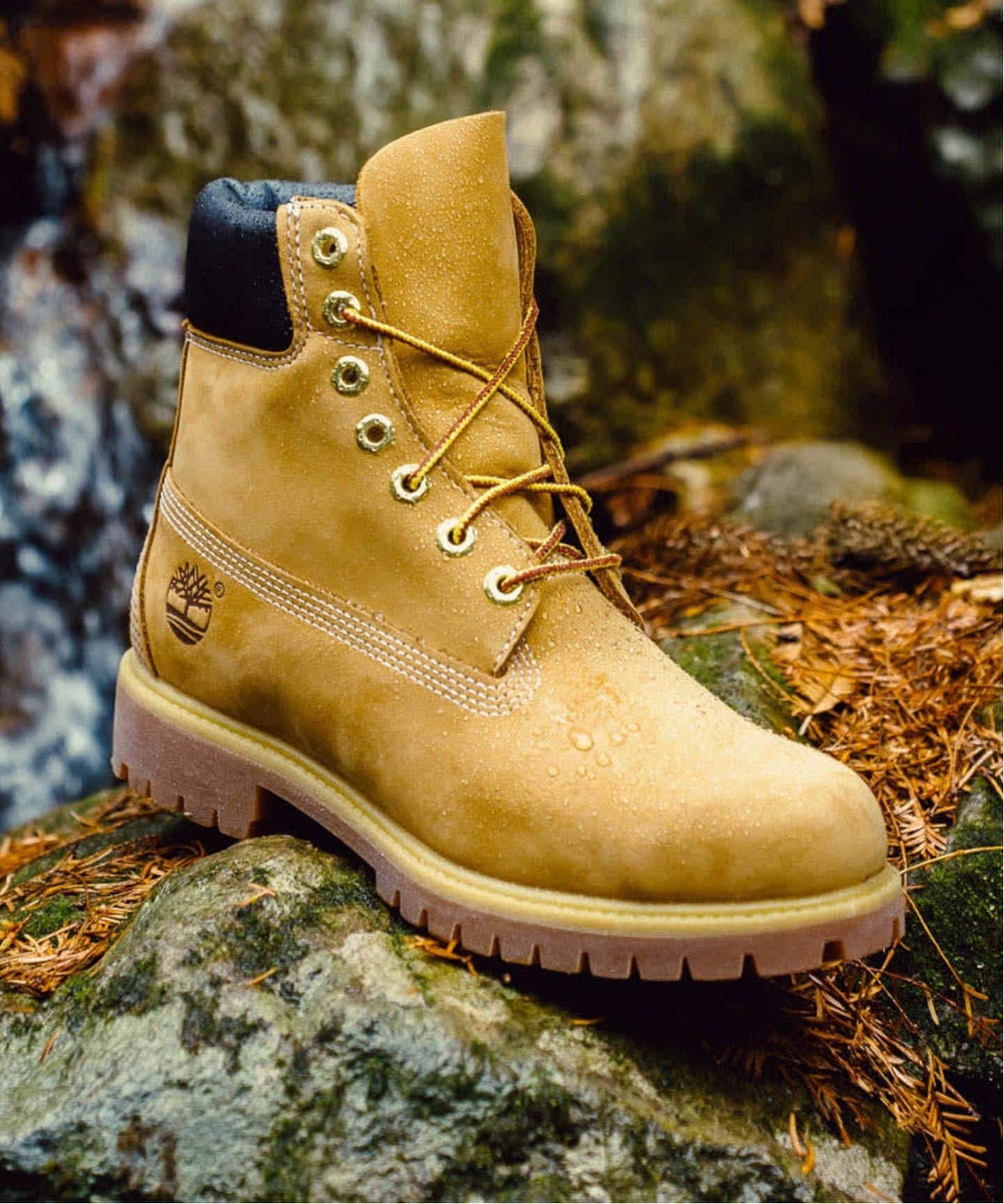 Timberland/ティンバーランド 6inch Premium Boots Water Proof
