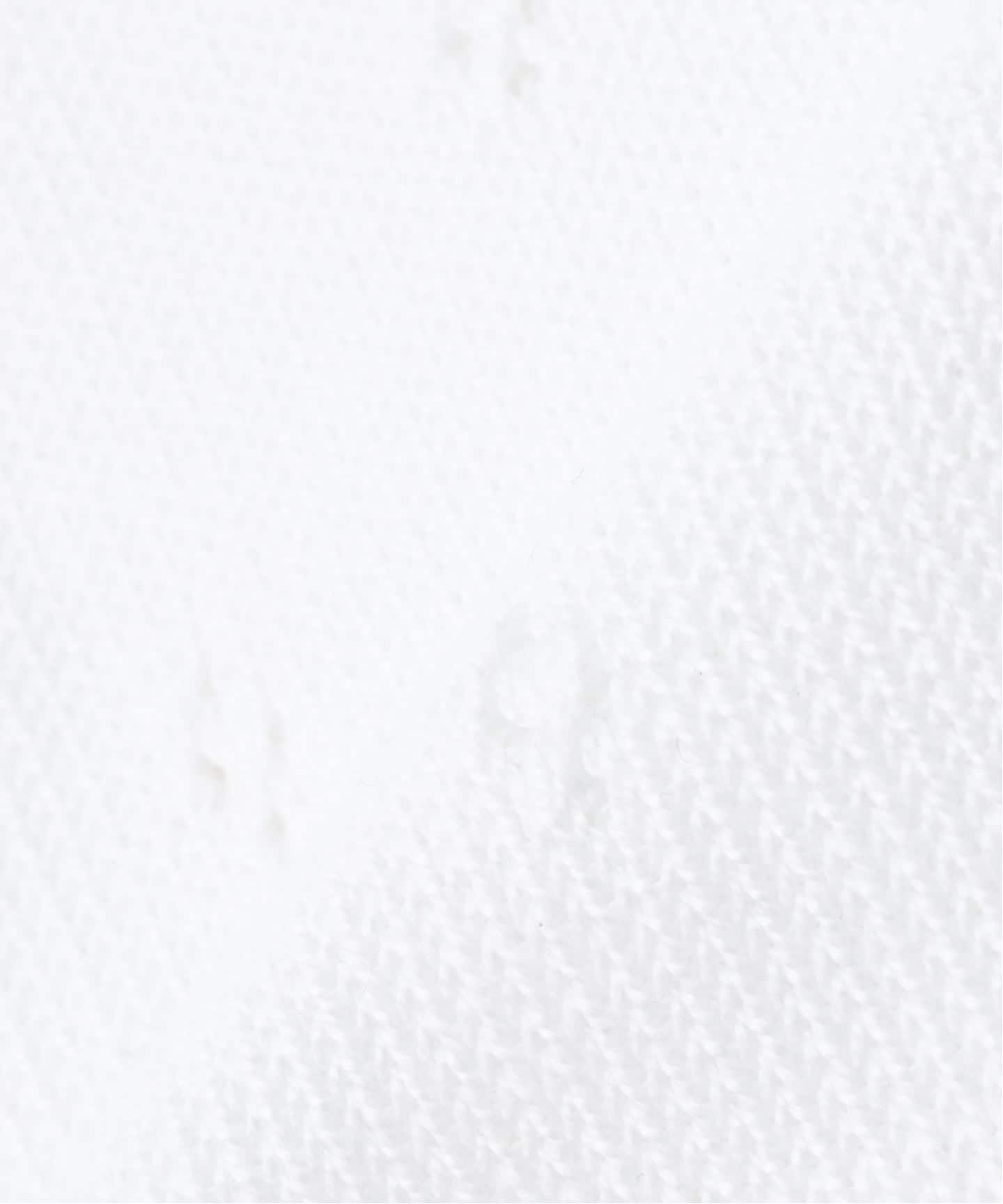 PAN/パン】FLOWER BASQUE TIGHTS（ソックス・靴下）｜EDIT.FOR LULU