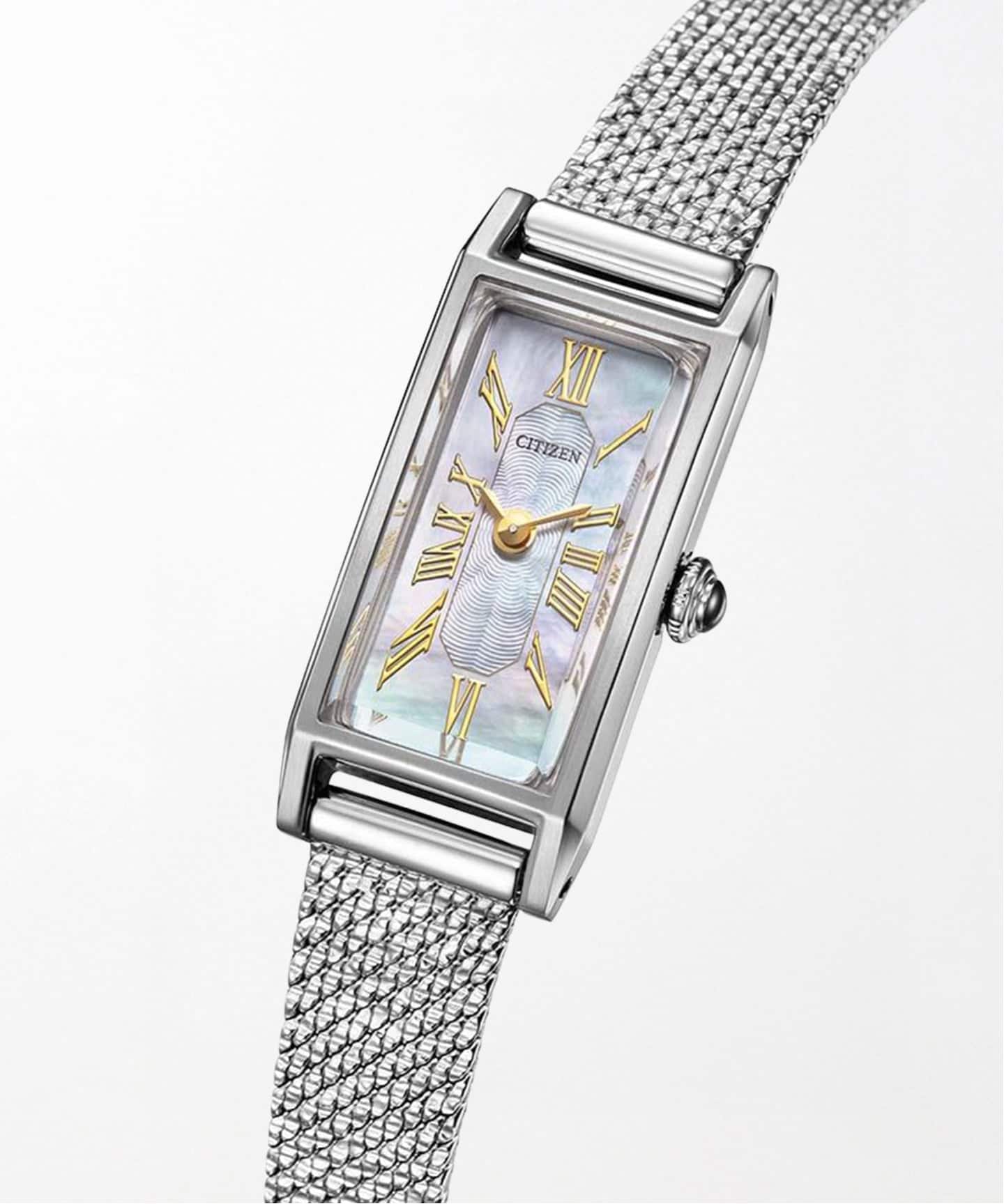 CITIZEN Kii EG7040-74D Limited 800（新品）｜HIROB（ヒロブ）の通販