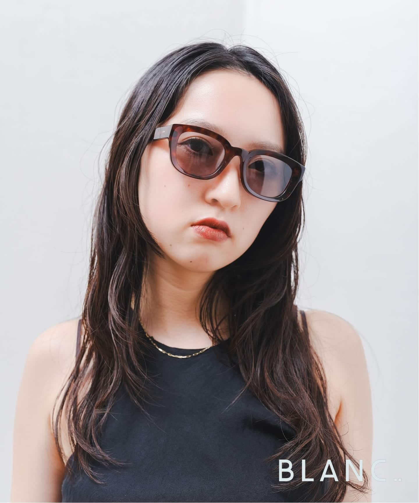 BLANC.. 別注 BE001 HAVANA / M.GRY ex Sunglasses（サングラス