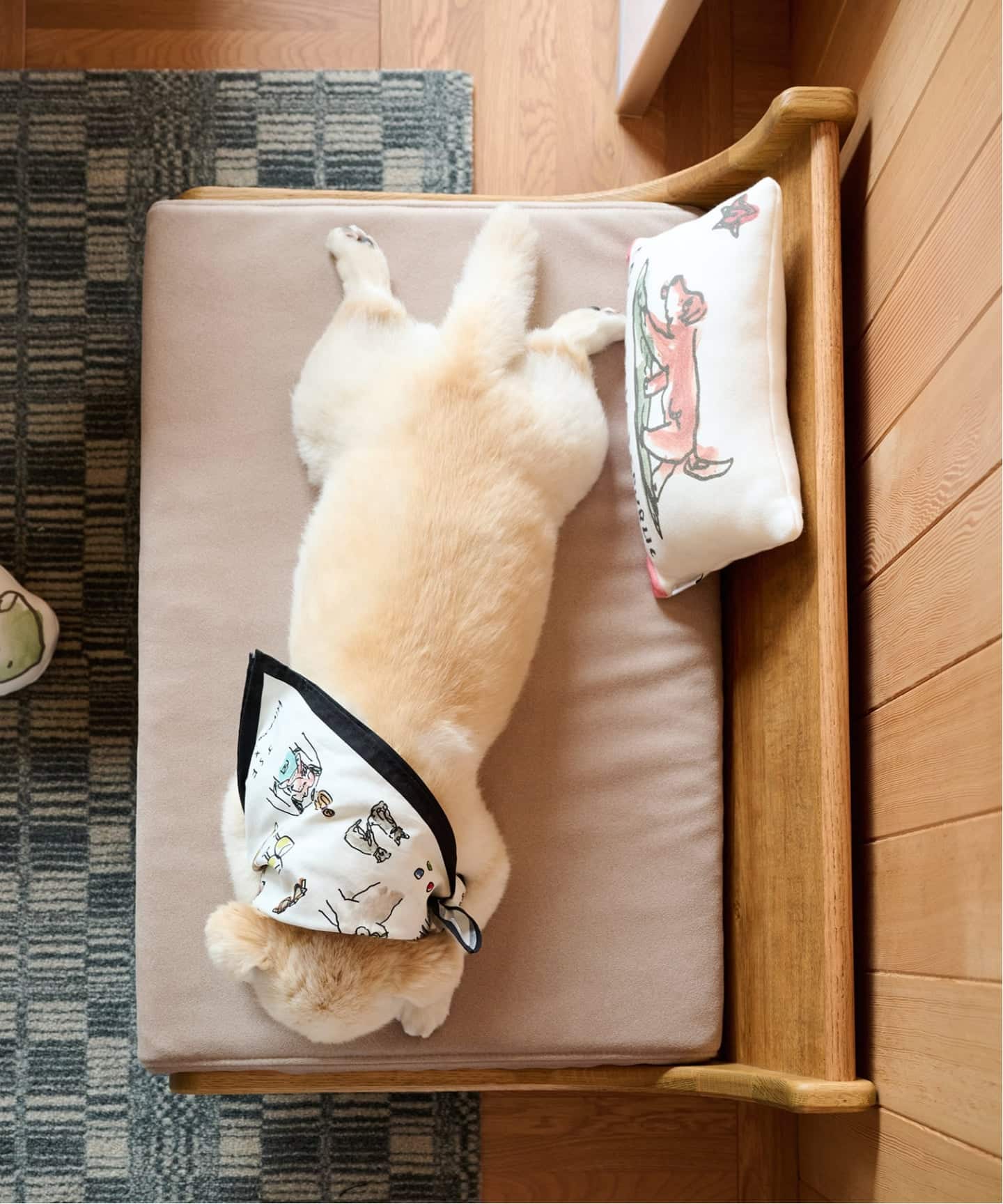 HABITAT PET BED BE ハビタ ペット ベッド（ソファ）｜JOURNAL