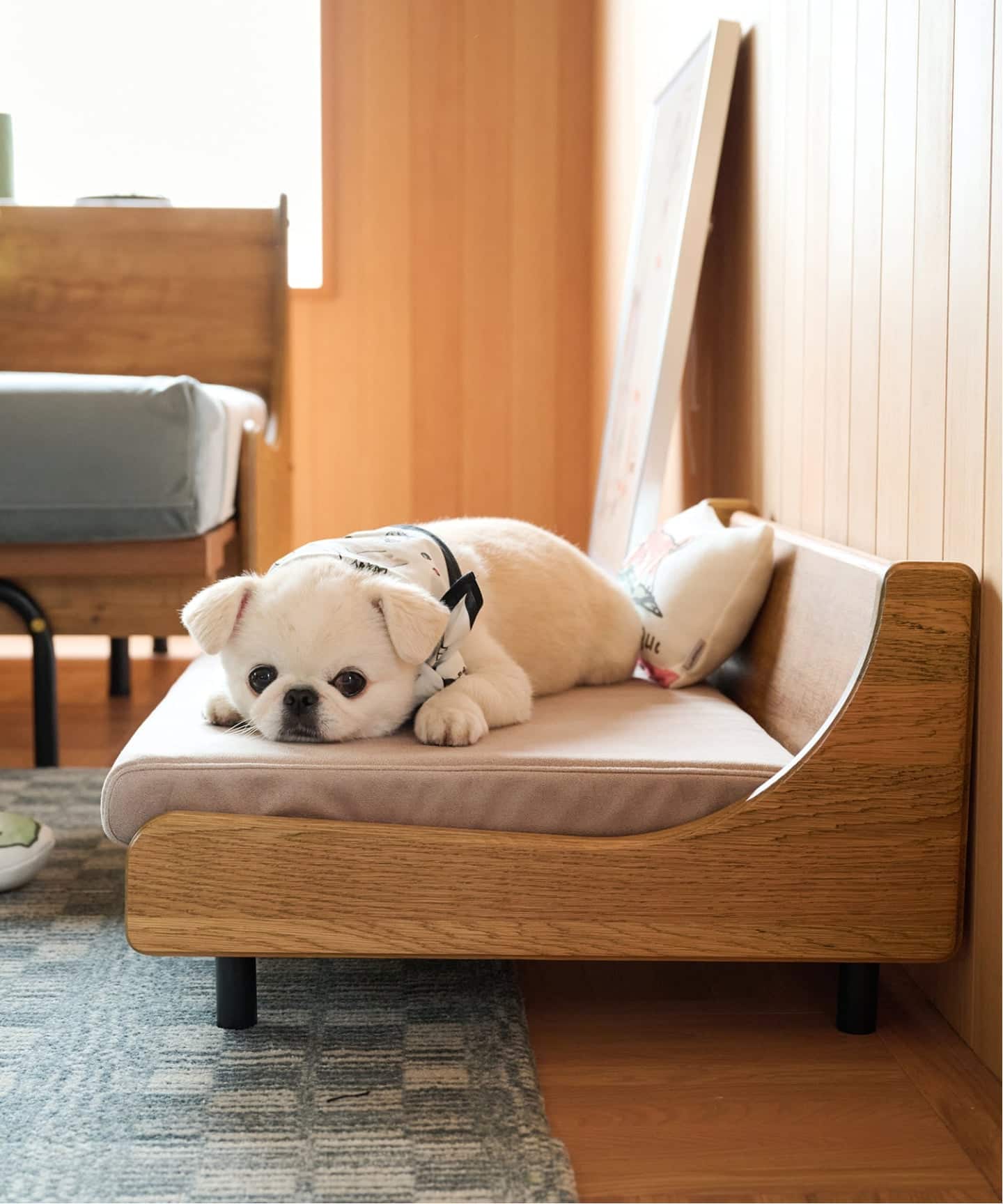 【新品】Journal Standard Furniture ペットベッド HABITAT PET BED BE ハビタ ペット ベッド（ソファ）｜JOURNAL