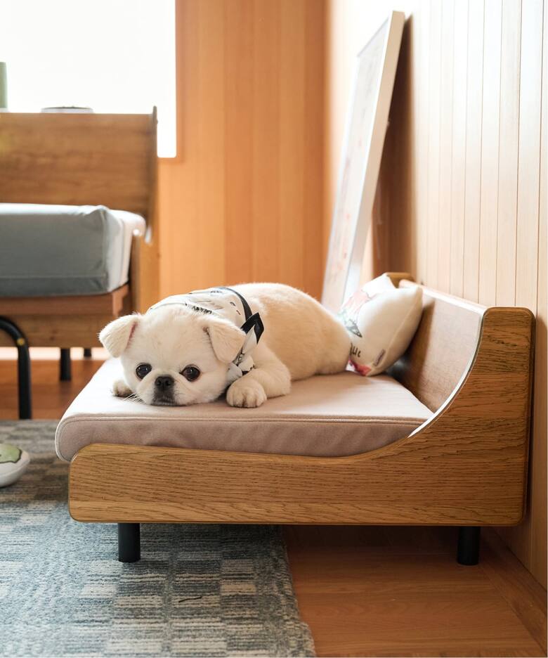 家具