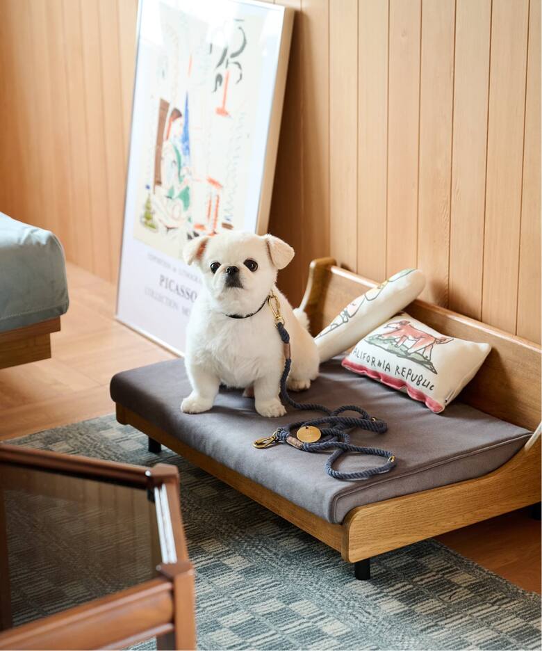 家具